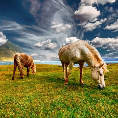 La vallée des chevaux, de Jean M. Auel
