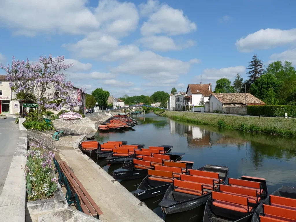 Coulon (79)