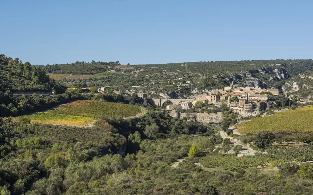 Minerve (34)
