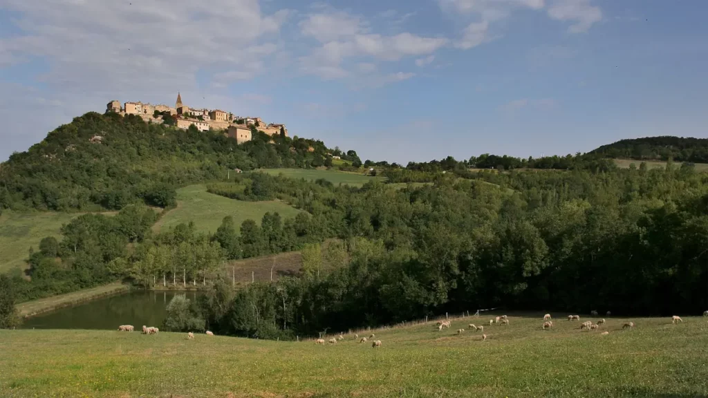 Puycelsi (81)